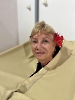 Jornada Janeiro 2024-11